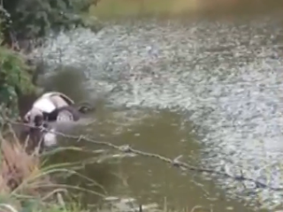 PM morre após carro cair em açude em Guaramiranga