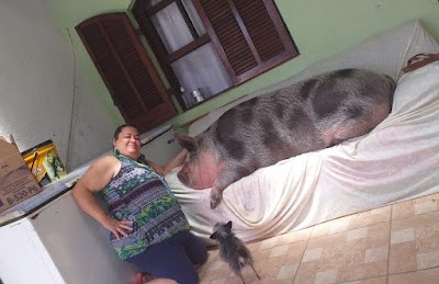 Foto: Reprodução