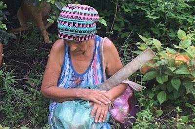 Foto: Reprodução
