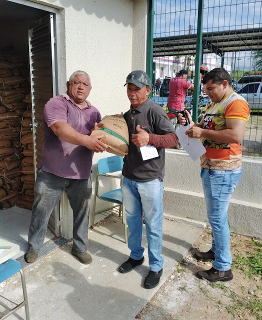 Quase 30 toneladas de sementes começam a ser entregues em Santa Quitéria; agricultores otimistas para o inverno