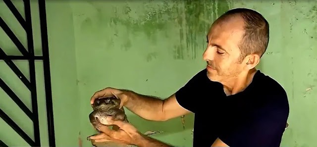 Foto: Reprodução