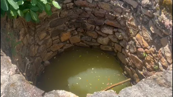 Foto: Maristela Gláucia/Sistema Verdes Mares