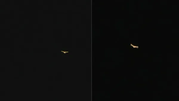 Divulgação/Redes sociais