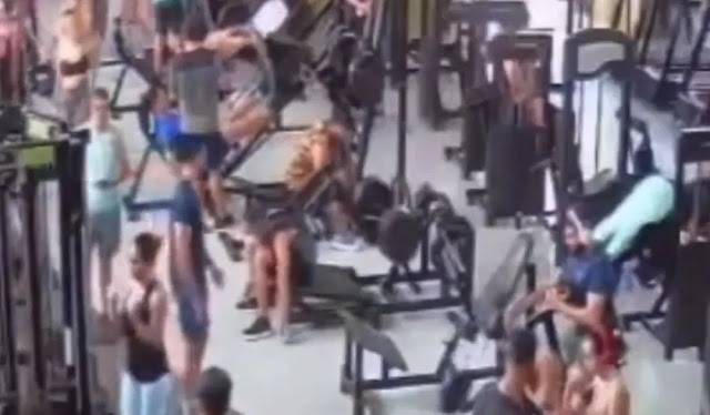 Reprodução
