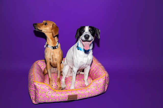 Foto: Marcelo Krasilcic