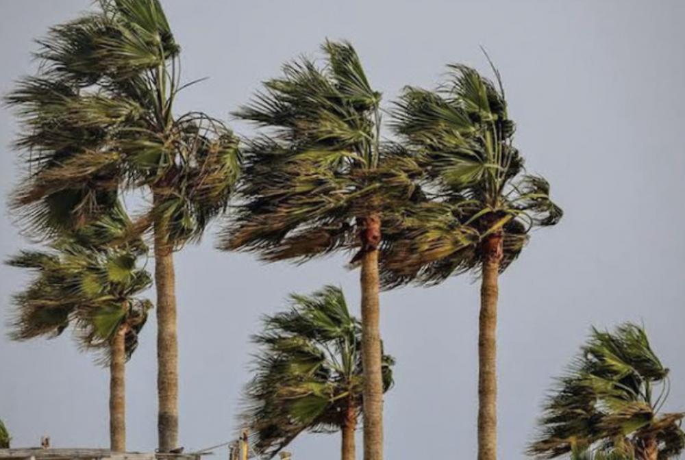 Foto: Reprodução/Google Imagens