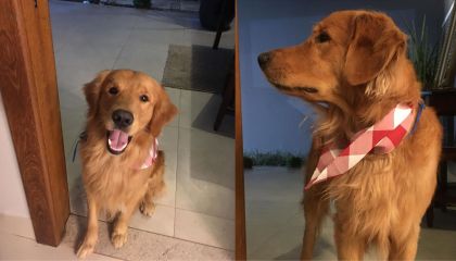 Foto: Reprodução/ Redes sociais 