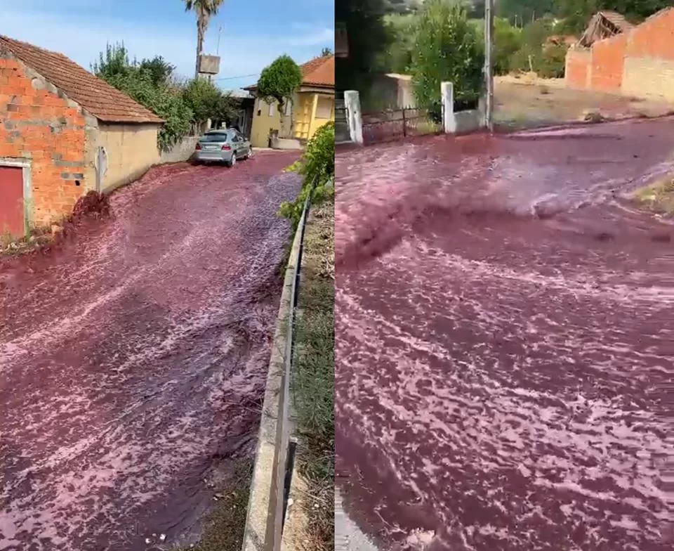 ‘Rio de vinho tinto’ se forma em Portugal depois que tanques com 600 mil galões estouram; assista