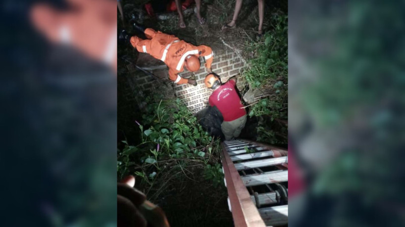 Vaca de 400 kg é resgatada após cair em fossa em cidade do Ceará 