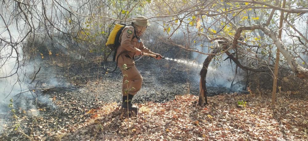 Serra das Cobras: bombeiros enfrentam dificuldades no primeiro dia do combate ao incêndio, em Santa Quitéria
