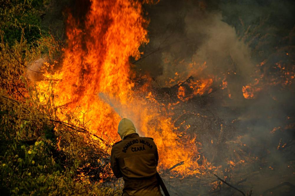  Foto: Corpo de Bombeiros/Divulgação