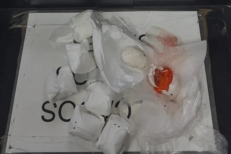 Foto: Divulgação/PF