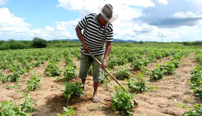 Arquivo: Raimundo Mascarenhas