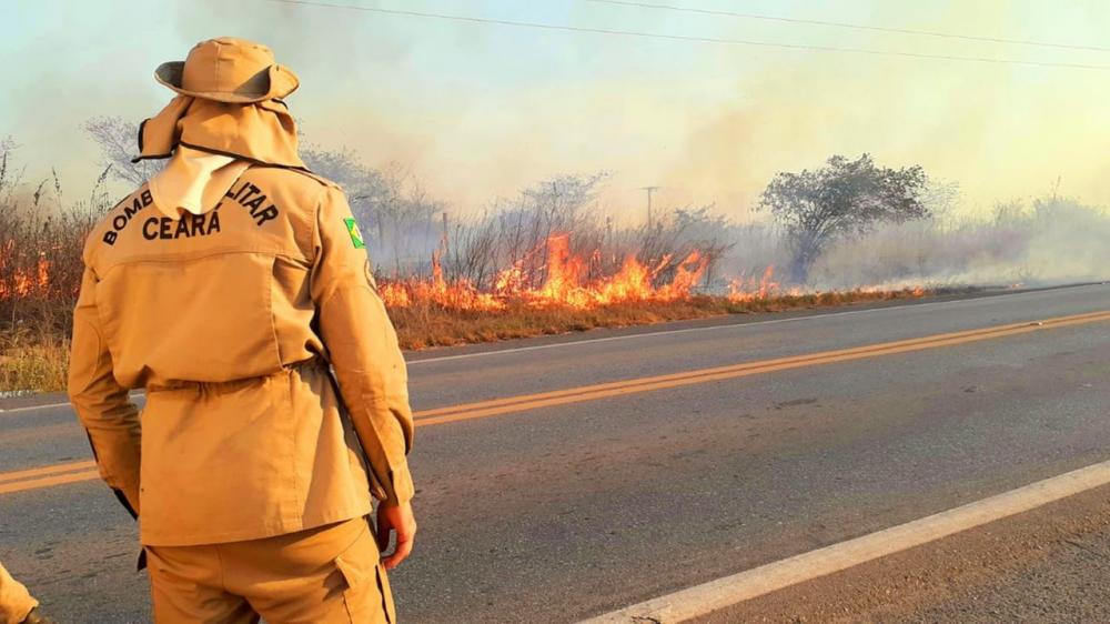 Foto: Reprodução / 1º CIA DE BOMBEIROS