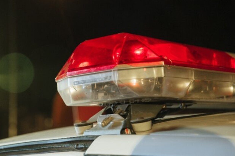 Cottonbro Studio / Pexels