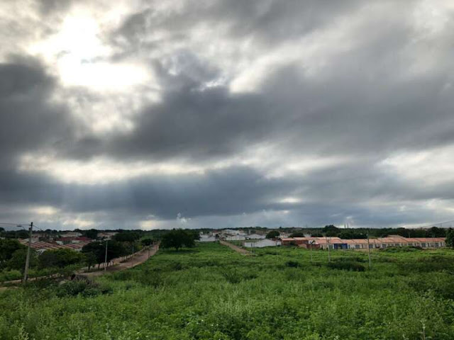 Maciel Bezerra