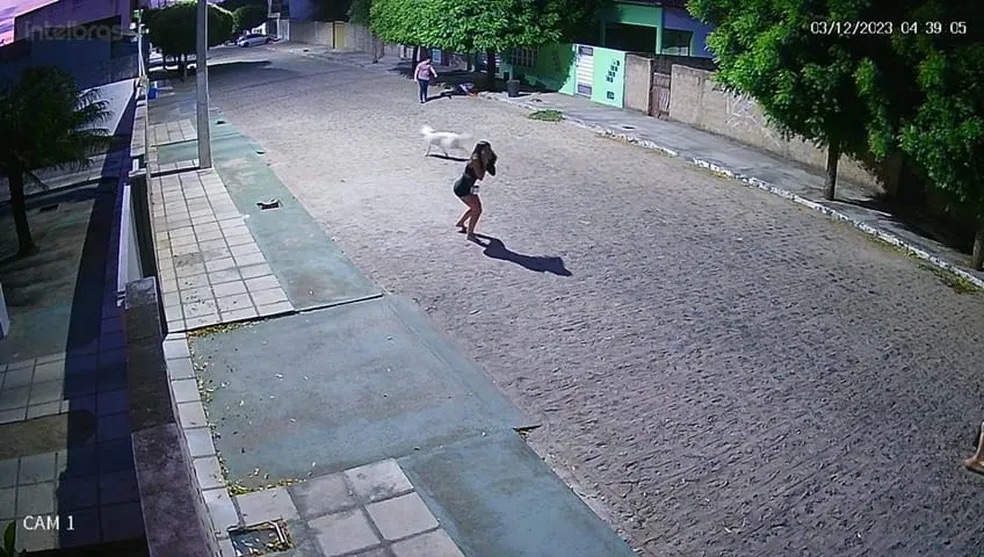 Foto: Reprodução/ G1