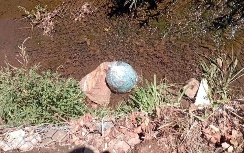 Divulgação/Polícia Militar