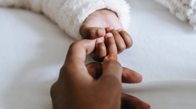 Foto: William Fortunato/Pexels