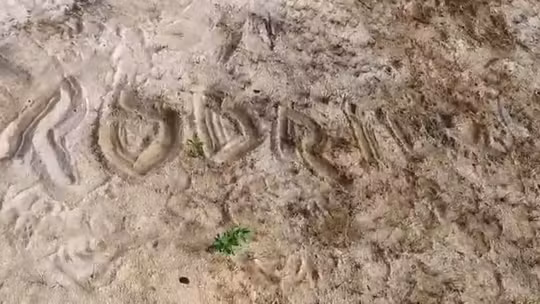 Foto: Idomilson Martins