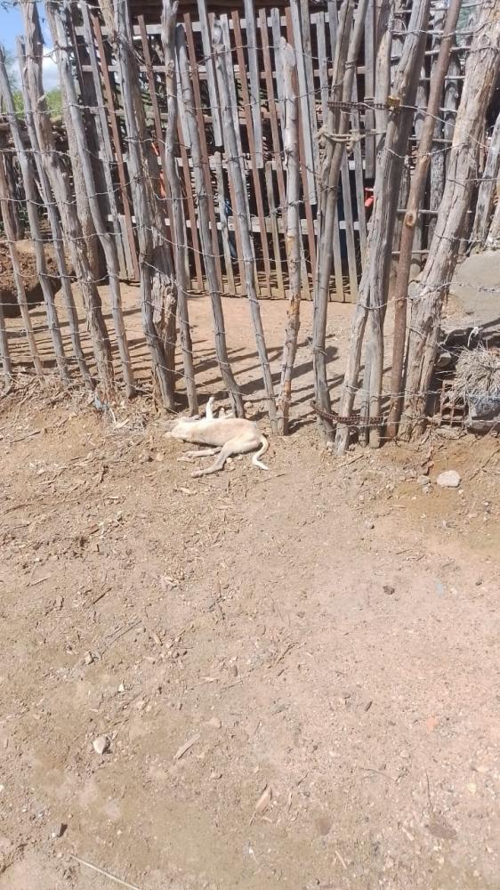 Reprodução/Ipaporanga Notícias