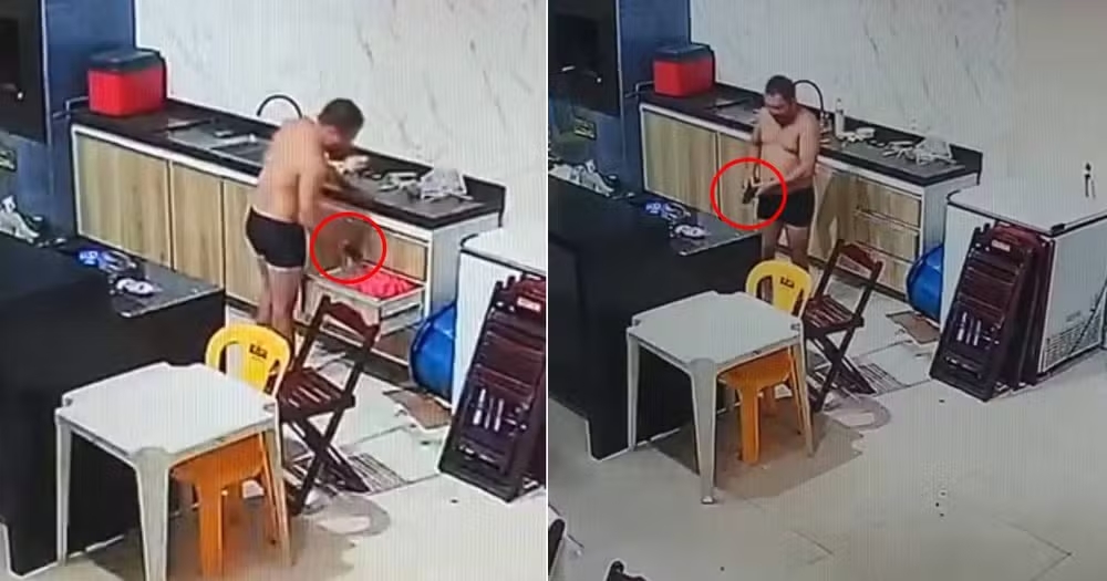 Reprodução