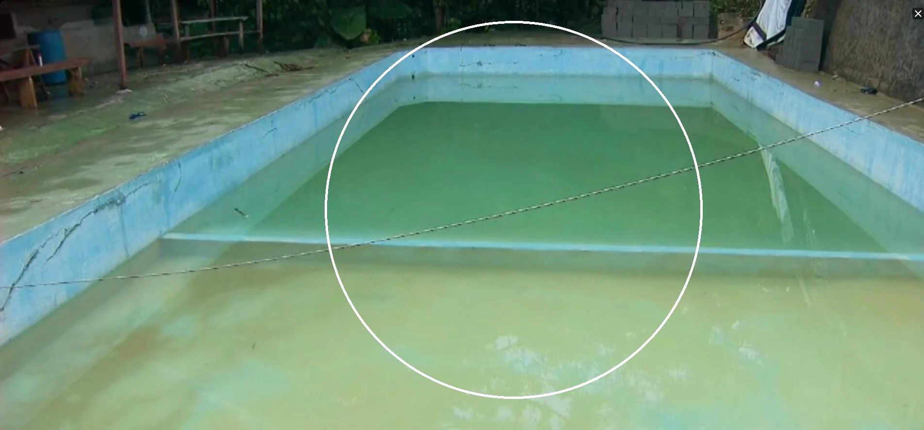 Foto: Reprodução/TV Globo