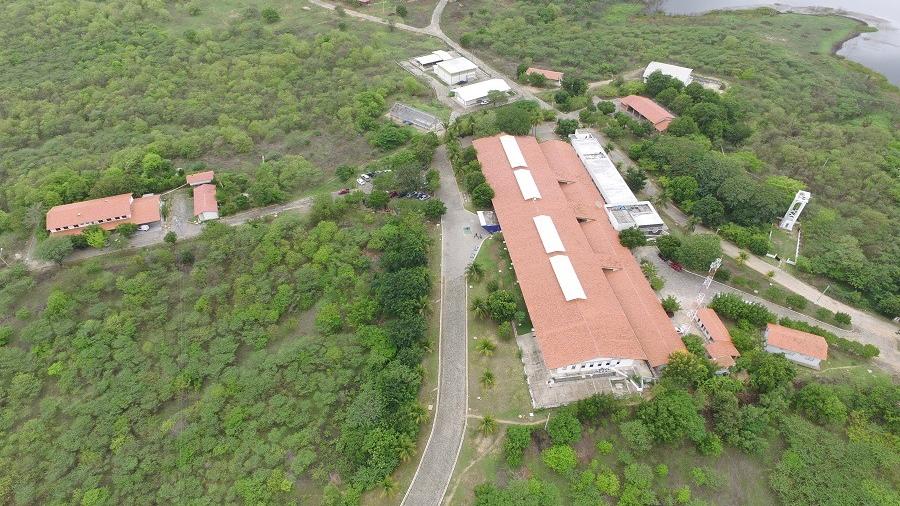 Foto Reprodução/ Embrapa Caprinos e Ovinos