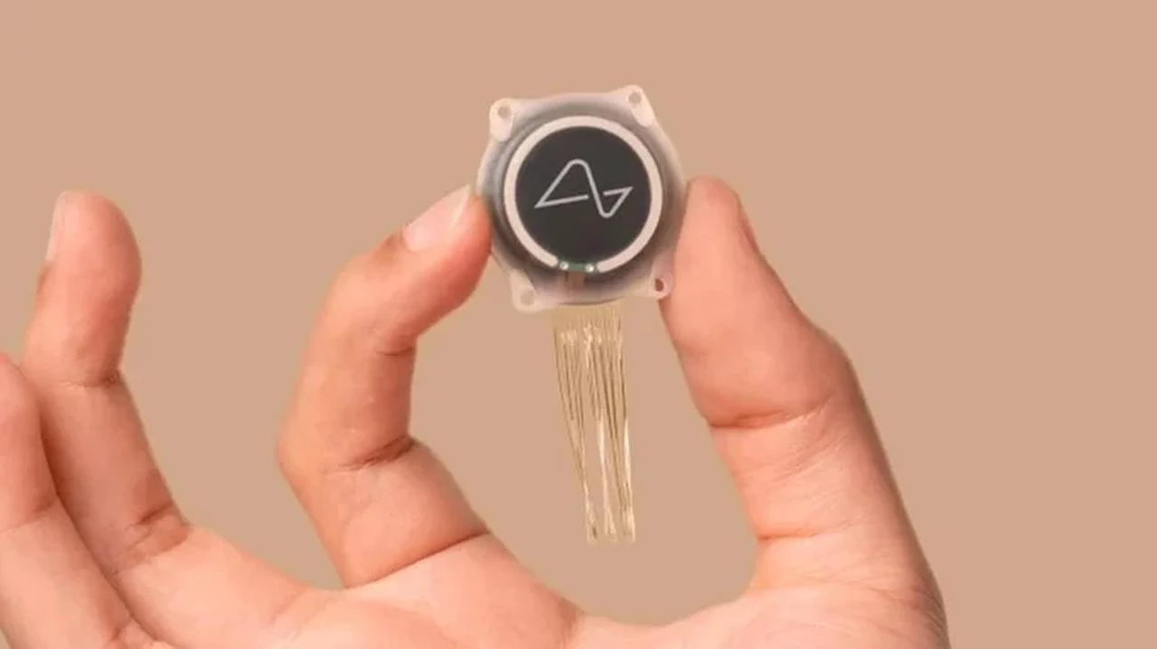 Foto: Divulgação/Neuralink