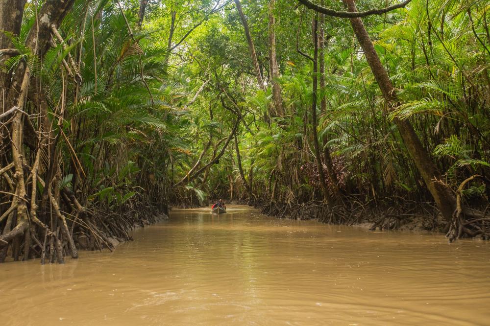 Foto: Reprodução Web 