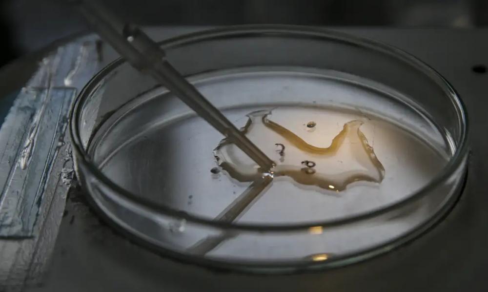 Marcelo Camargo/Agência Brasil