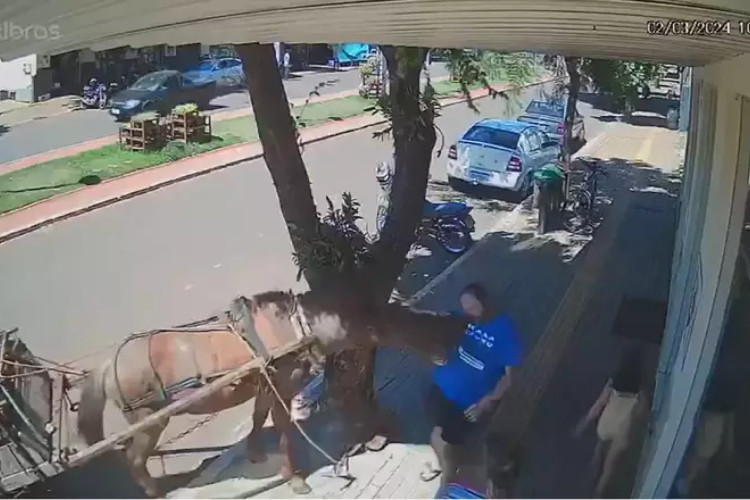 Foto: Monitoramento/ Arquivo pessoal