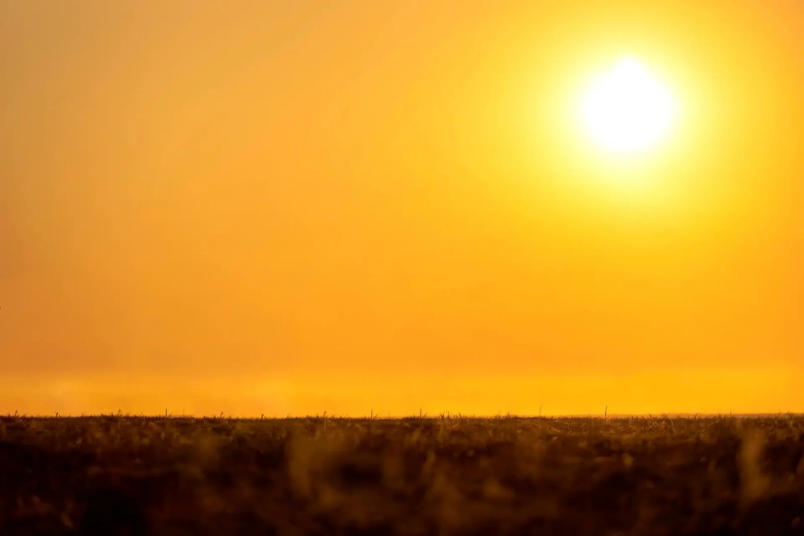 El Niño perde força, mas manterá as temperaturas altas, diz agência meteorológica da ONU