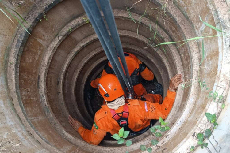 Corpo de Bombeiros do Ceará/Divulgação