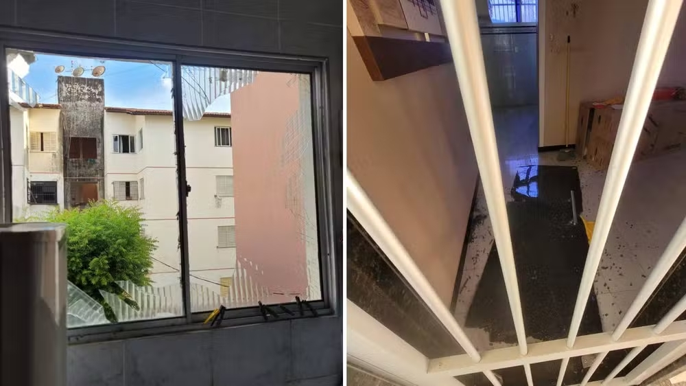 Reprodução