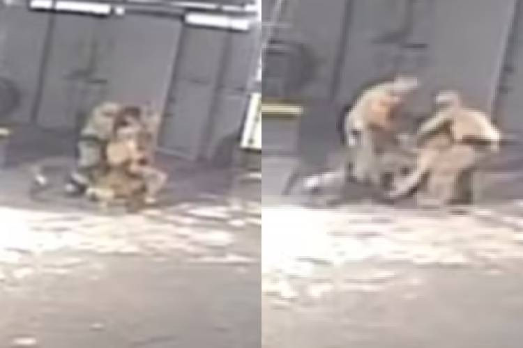 Foto: Reprodução/ Redes sociais 