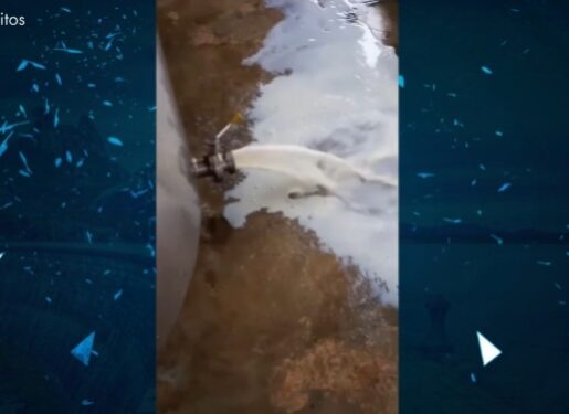 Produtores perdem quase 1.000 litros de leite após ficarem seis dias sem energia; ENEL não se pronuncia