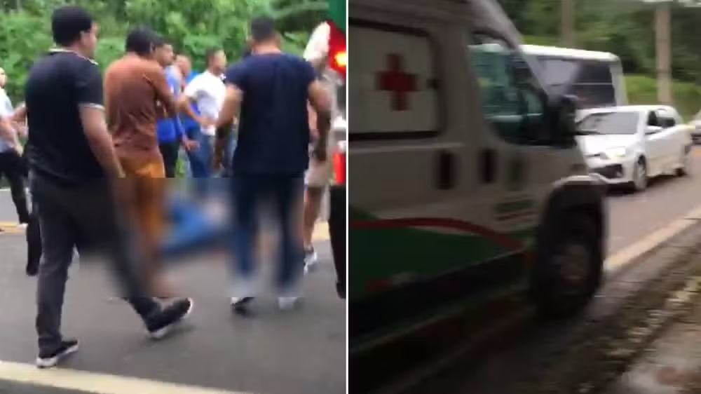 Reprodução