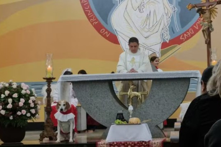 Reprodução/ Paróquia Santa Ana e São Joaquim