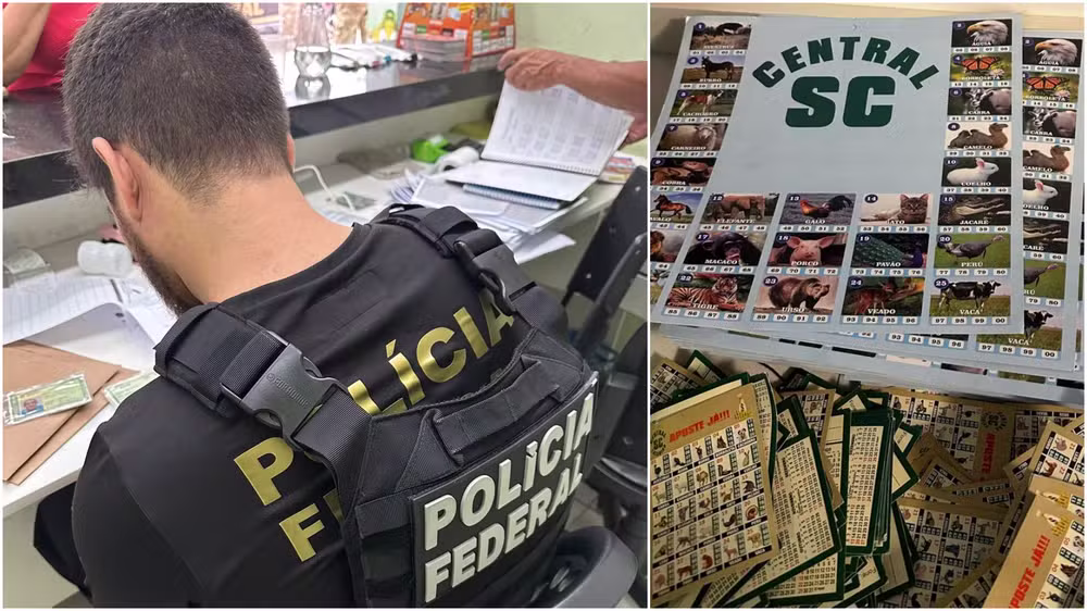 Polícia Federal/ Divulgação