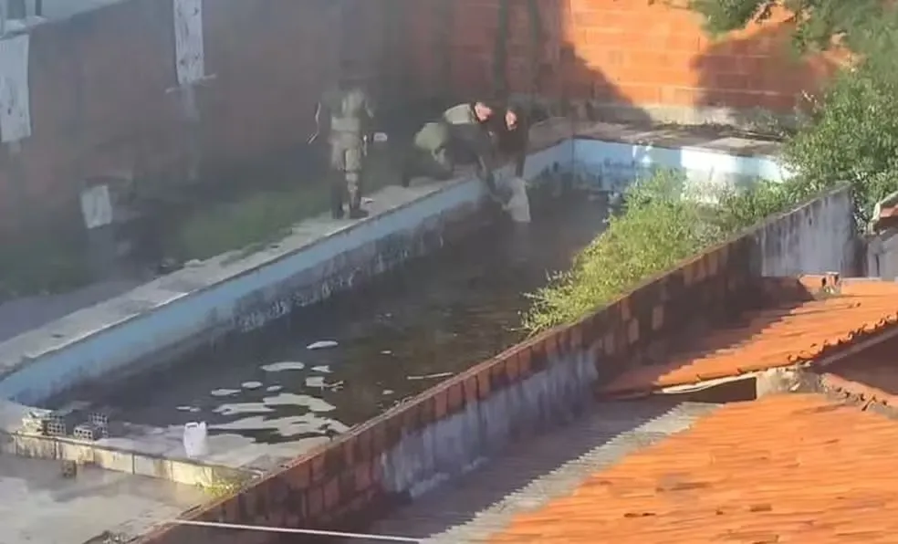 Foto: Reprodução