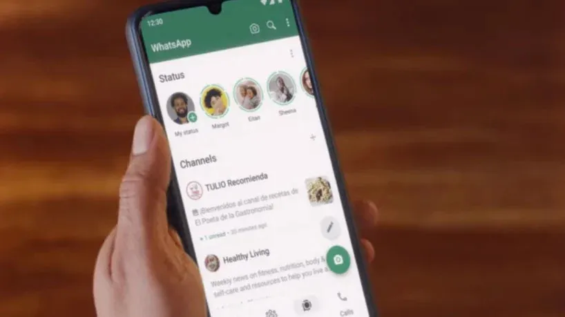 Reprodução/WhatsApp