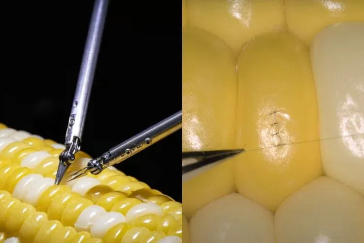 Reprodução/Youtube Sony Technology