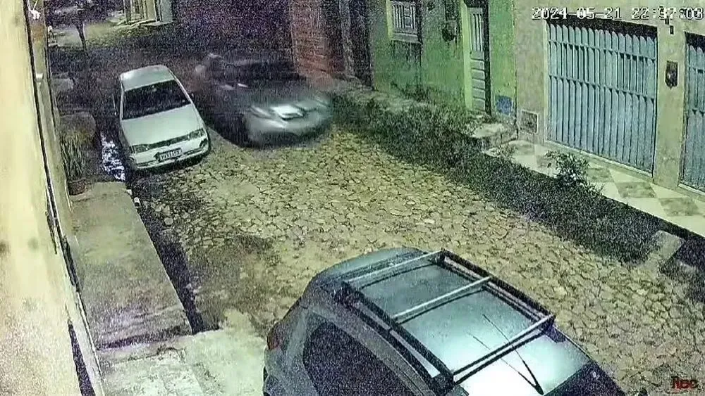 Reprodução