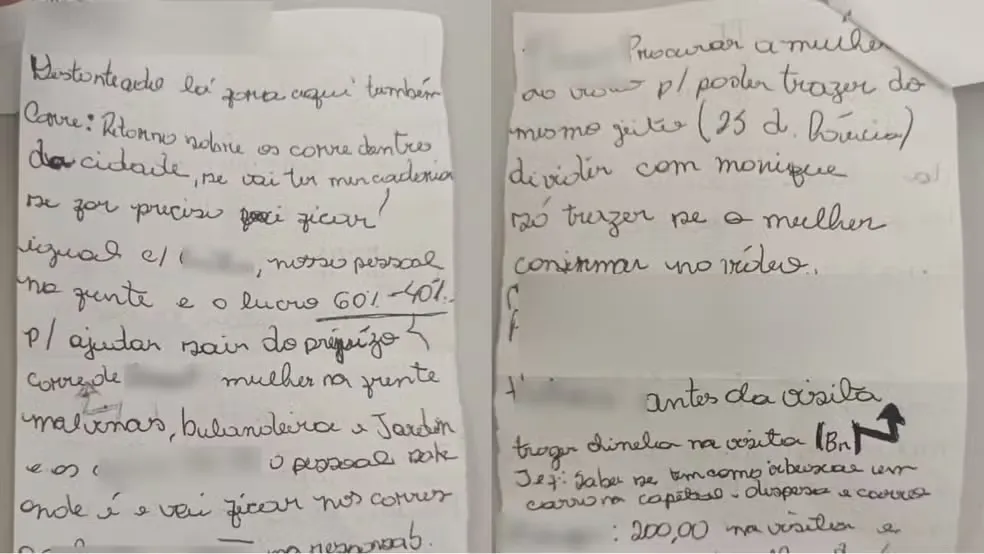 Reprodução