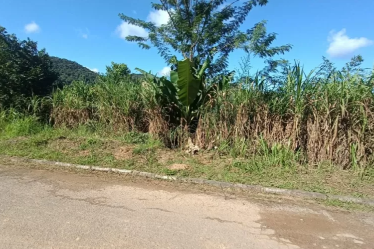 Pai é preso por arremessar filha de um mês em barranco