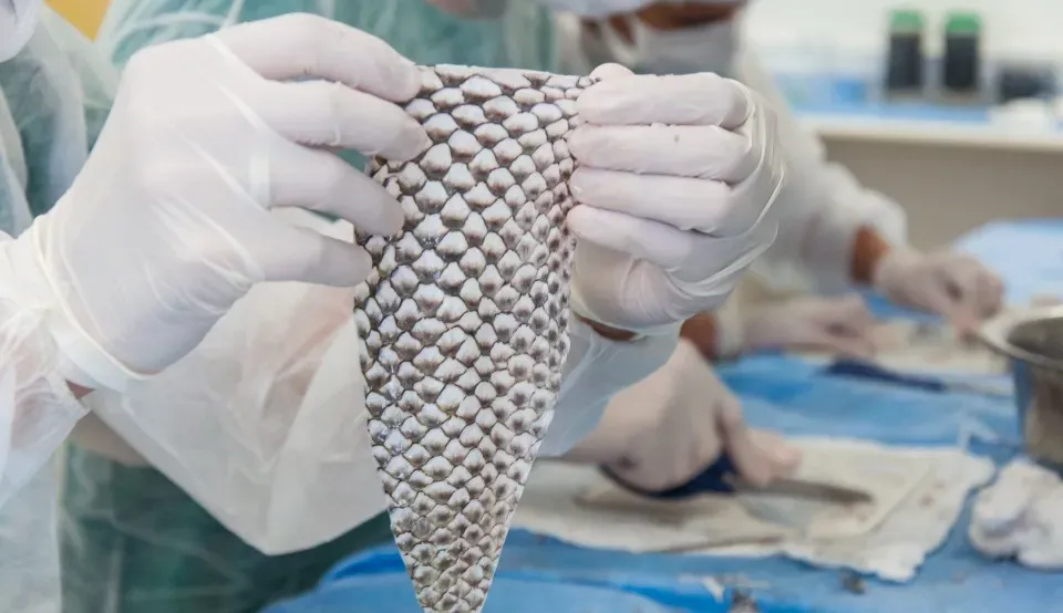 Foto: Divulgação / Viktor Braga/ UFC