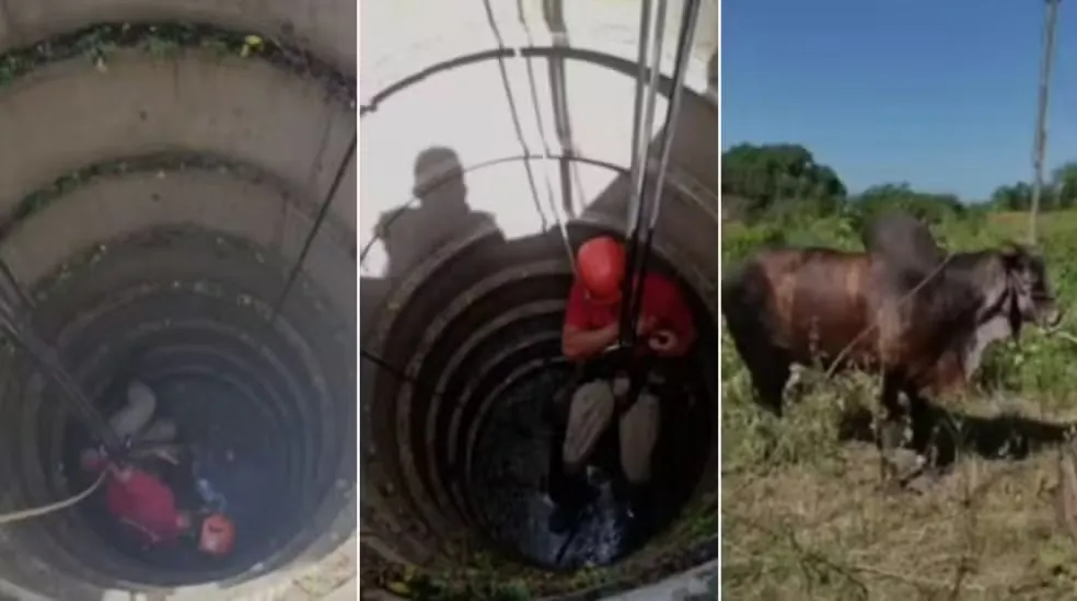  Foto: Reprodução/TV Verdes Mares