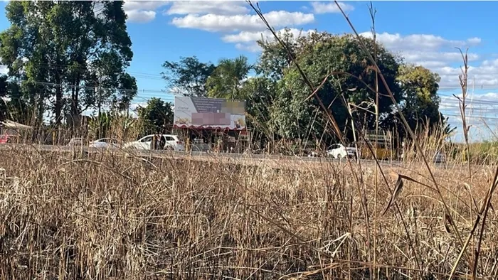 Estuprador esmaga testículo de vítima ao notar que violentava uma mulher trans