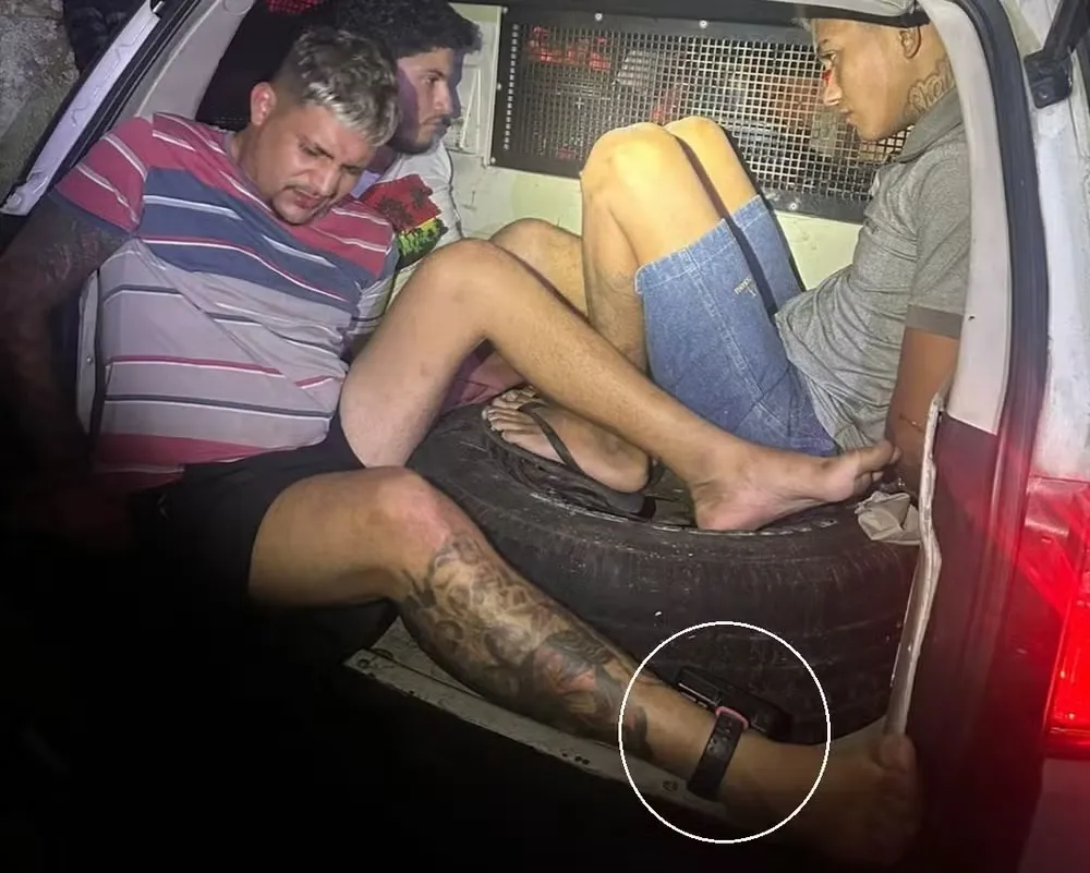Reprodução